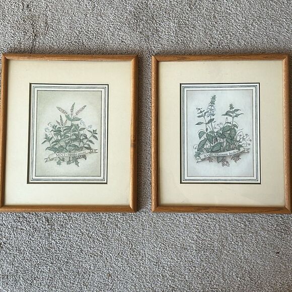 Herb Garden Framed Prints Set of Two! - Picture 1 of 10